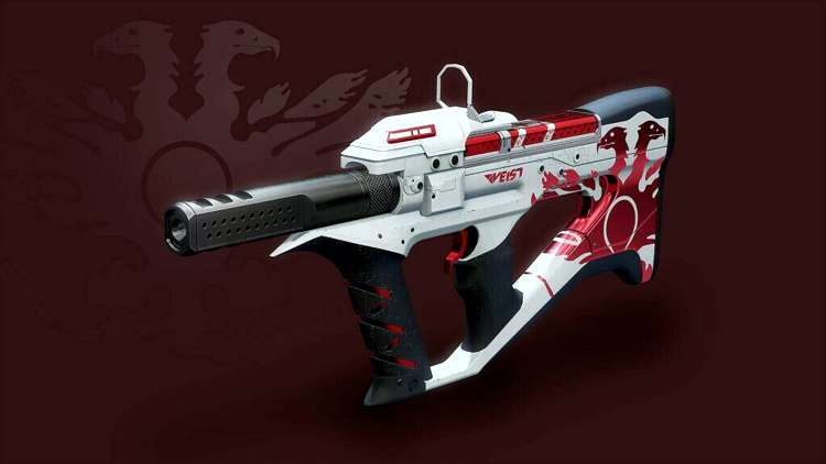 Einsiedlerspinne-MP-_57