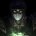 erismorn